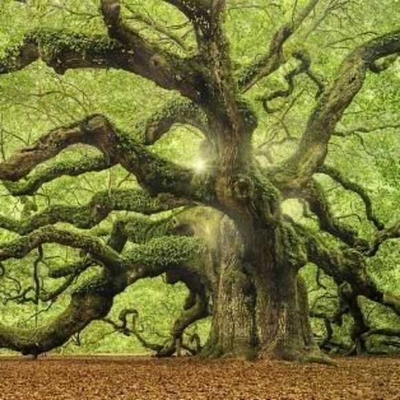 Meet your Posher, Valeri - Picture 1 of 1